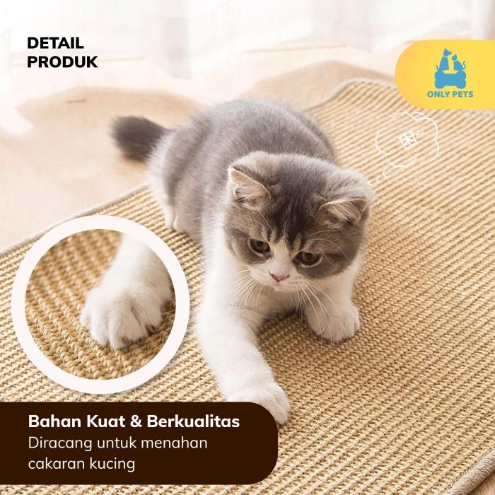 cca05999648540078478423d39b2414a~tplv-o3syd03w52-resize-jpeg_700_0