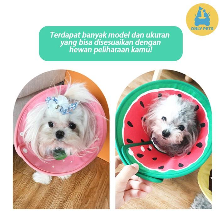 d622091a91284317b6c673551715f012~tplv-o3syd03w52-resize-jpeg_700_0