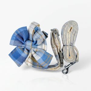 Pet Ribbon Leash
