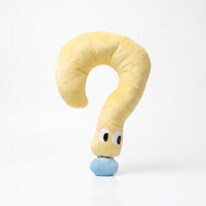 Question Pet Pillow