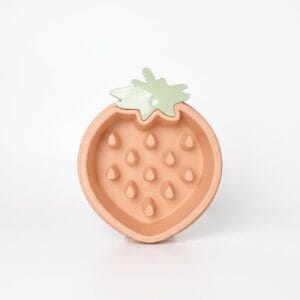 Fruit Slow Eating Bowl