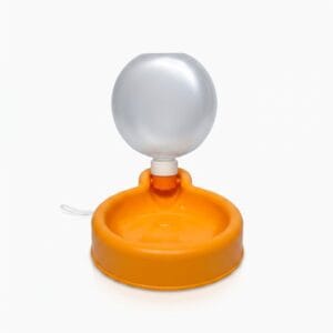 Balloon Water Bottle