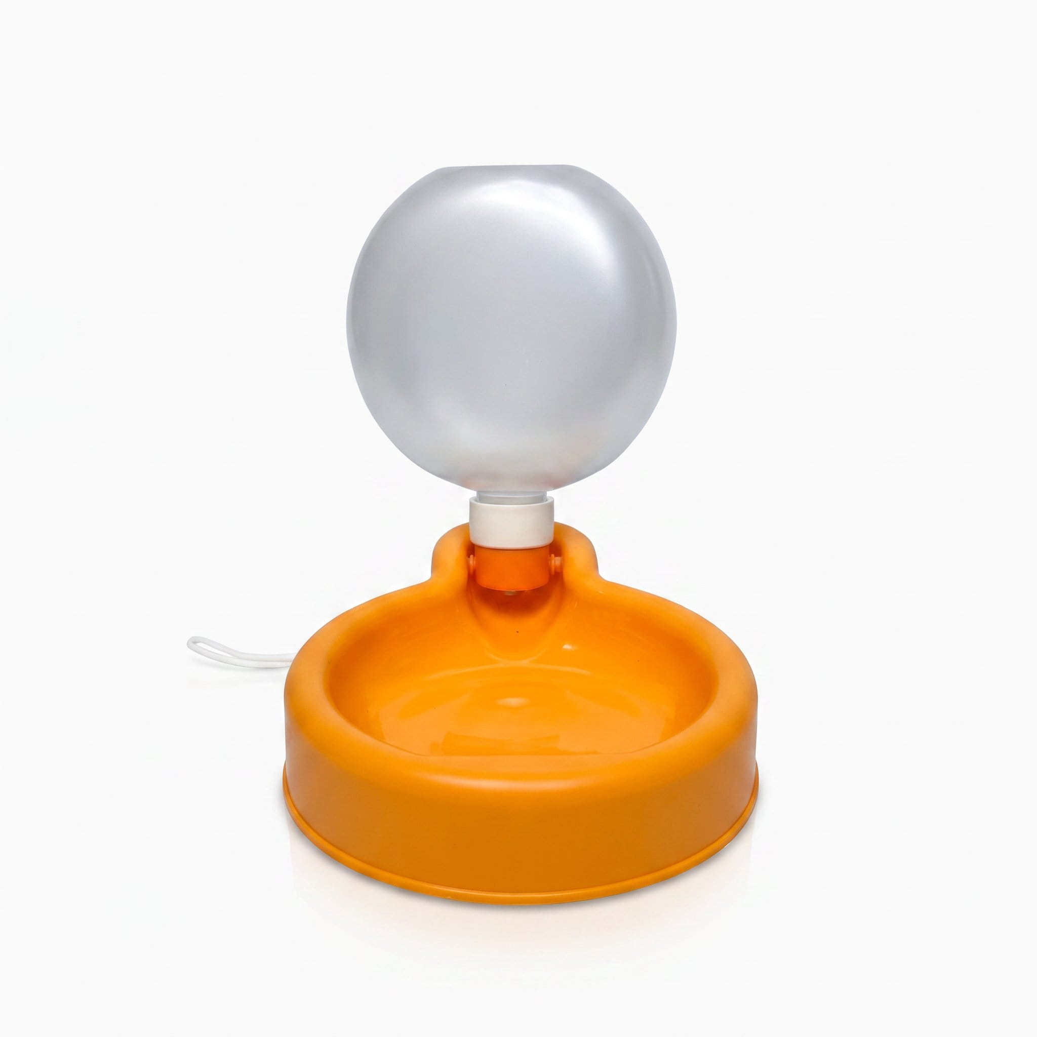 Balloon Water Bottle