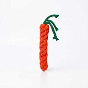 Carrot Chew Toys