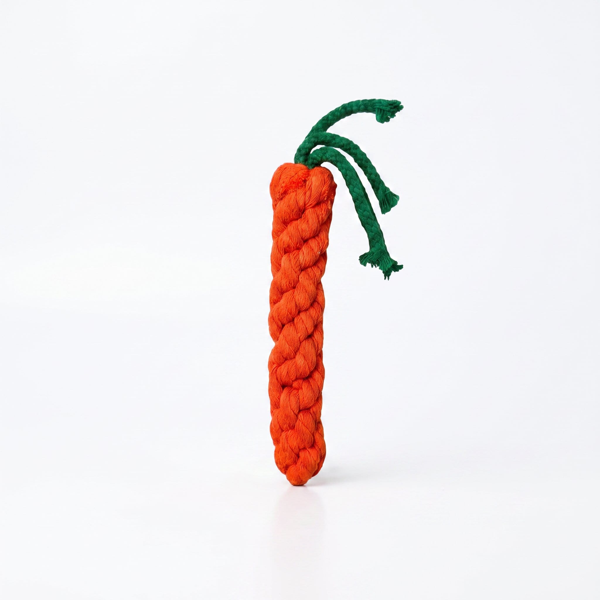 Carrot Chew Toys