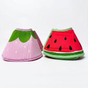 Fruit Pet Collar