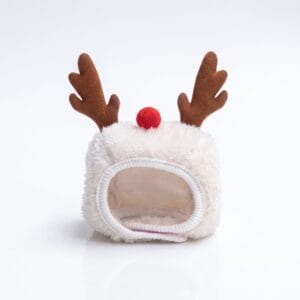 Christmas Pet Accessories