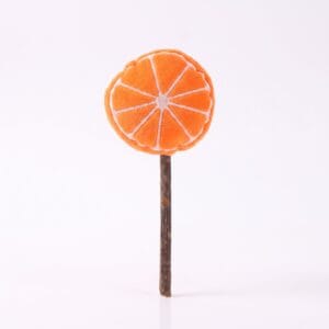 Fruit Cat Chew Stick