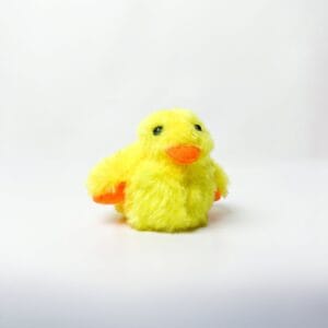 Flap Duck Toys