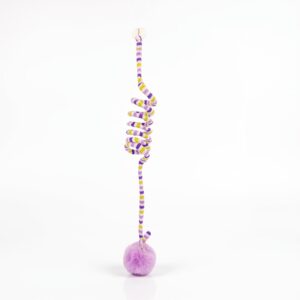 Swing Pet Ball