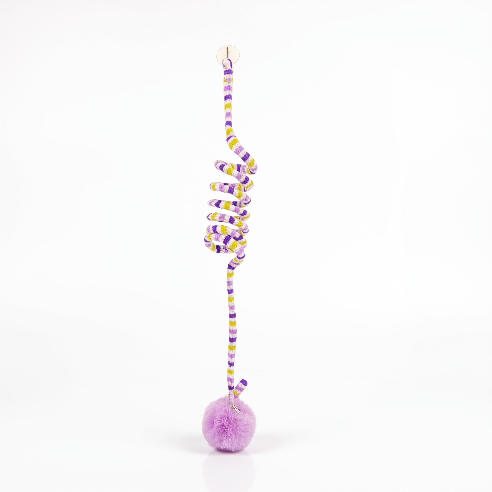 Swing Pet Ball