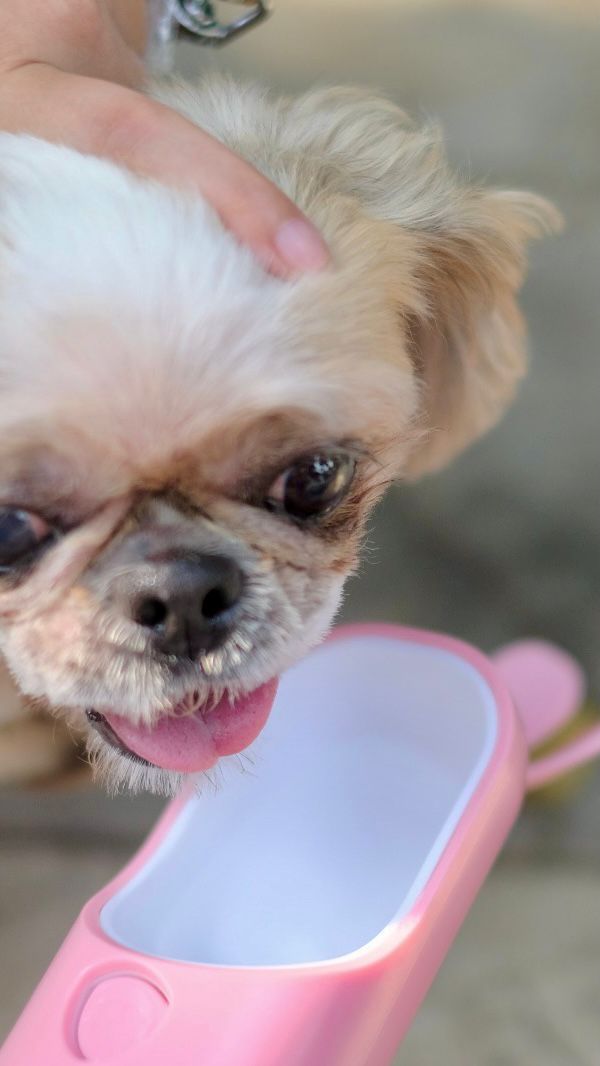 WhatsApp Image 2026-01-15 at 14.22.35