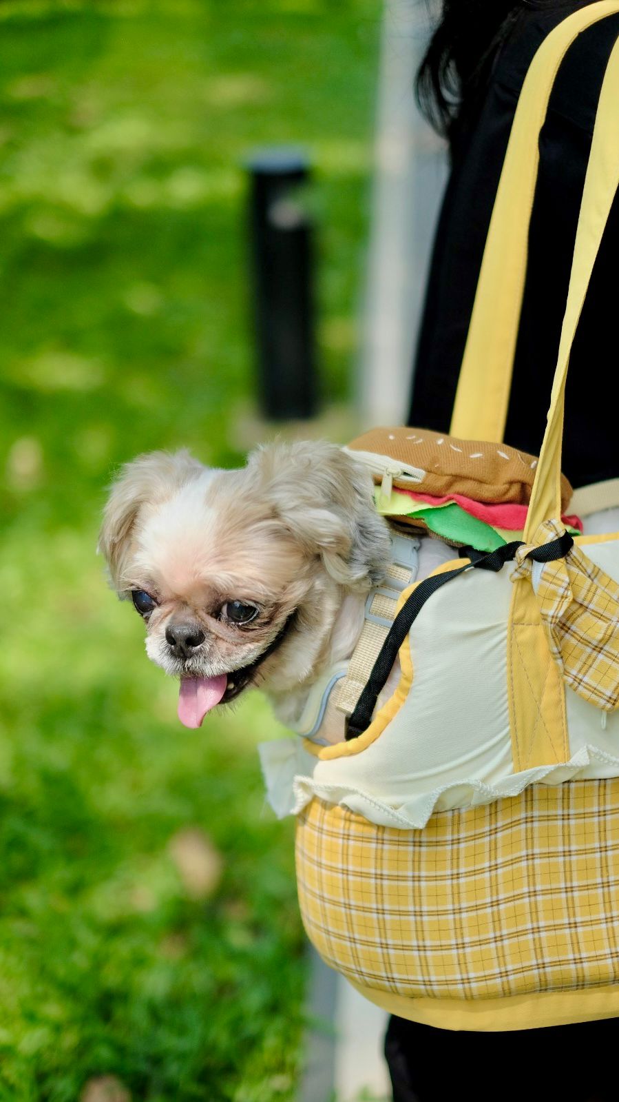 WhatsApp Image 2026-01-15 at 15.36.12 (1)