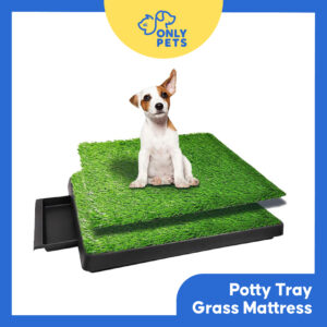 ONLY PETS Alas Pipis Toilet Rumput Plastik Untuk Anjing Puppy Potty Tray Grass Mattress
