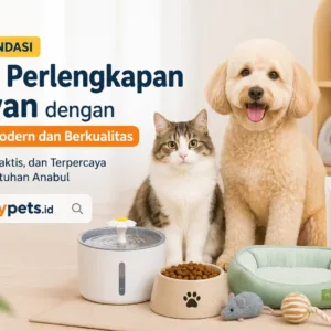rekomendasi toko perlengkapan hewan