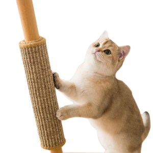 Cat Toys
