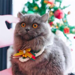 ONLY PETS Christmas Knit Collar Kalung Rajut Anjing Kucing Edisi Natal