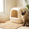 Cara Mengurangi Bau Litter Box di Rumah.