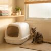 Berapa Sering Pasir Kucing Harus Diganti?.
