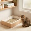 Pasir Kucing Flushable Yang Perlu Diketahui.