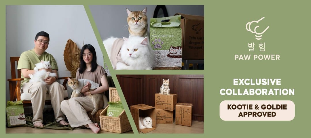 Paw Power x Kootie Goldie collaboration promo