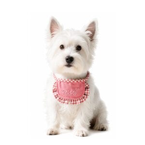 ONLY PETS Celemek Air Liur Motif Lucu dengan Gaya Korea untuk Anjing Kucing Kecil Gingham Korean Style Bib Slabber with Cute Motif for Puppy and Small Dog Cat