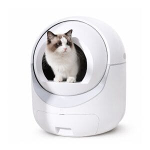 Automatic Self Cleaning Litter Box