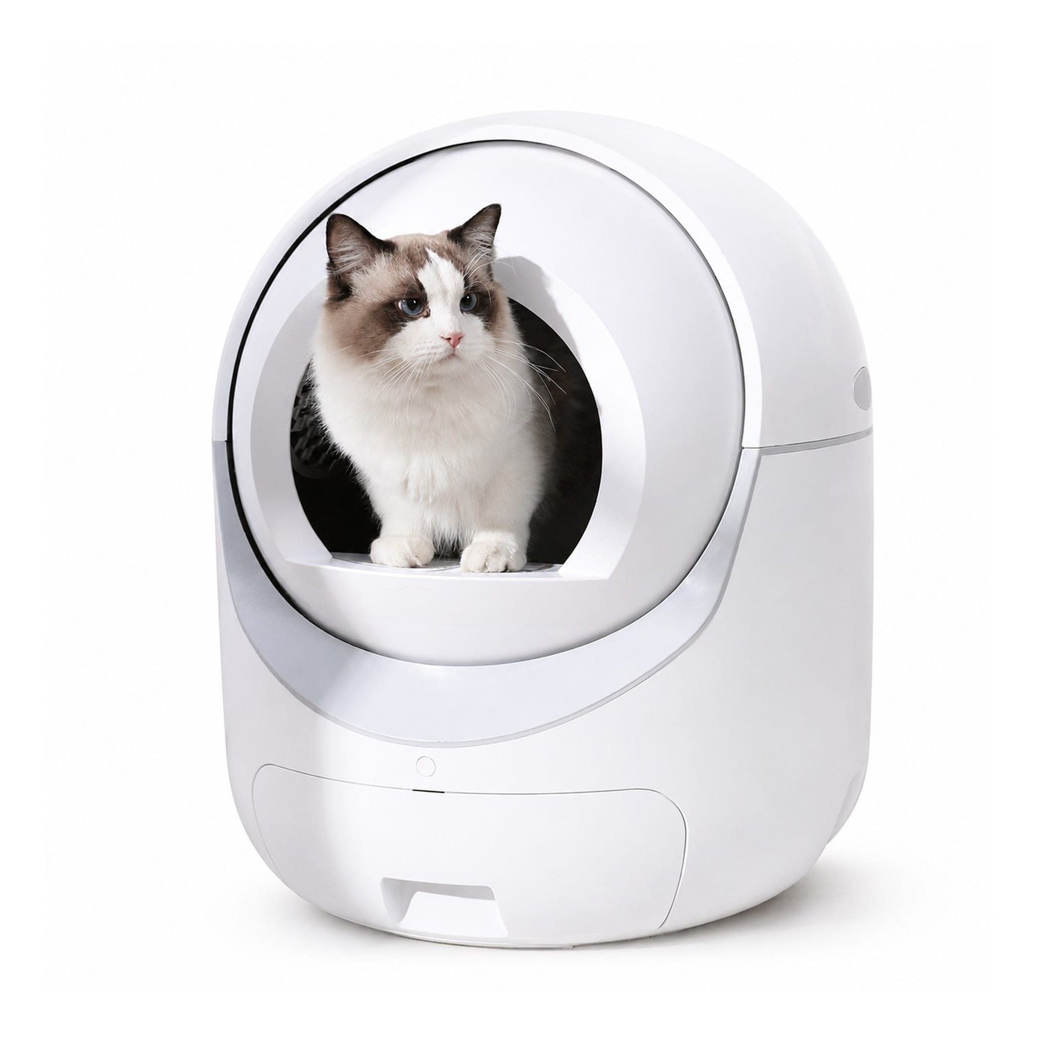 Automatic Self Cleaning Litter Box
