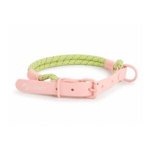 Colorfull Rope Collar