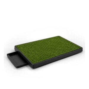 Grass Potty