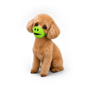 Piggy Muzzle Mouth Cover