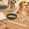 Ilustrasi kalung, pita ukur, penggaris, dan catatan untuk memeriksa kecocokan pemasangan pada anjing.