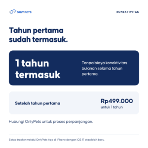 Konektivitas tahun pertama termasuk, kemudian perpanjangan Rp499.000 untuk satu tahun.