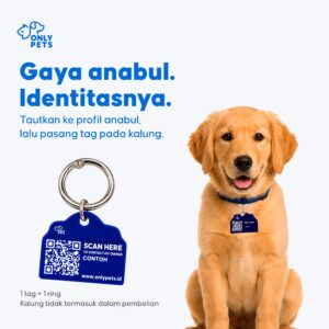 Anak anjing memakai kalung dengan QR Pet ID Tag biru, di sebelah tag biru bentuk rumah dengan ring logam