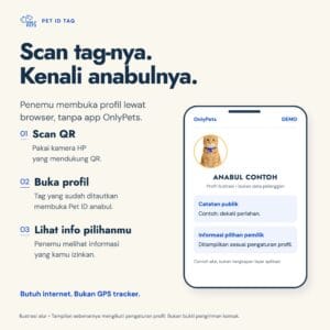 Tiga langkah: scan QR, buka profil, lihat informasi yang diizinkan pemilik