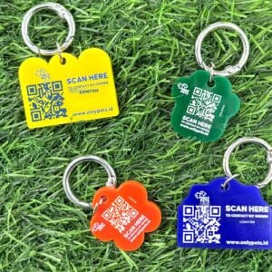 Foto asli empat QR Pet ID Tag: kuning, biru, hijau, oranye