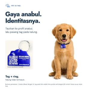 Anjing memakai QR Pet ID Tag biru pada kalung, dengan detail tag dan ring kait