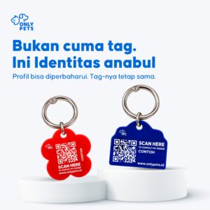 QR Pet ID Tag bentuk paw merah dan bentuk rumah biru dengan ring logam, memakai contoh QR