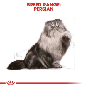 Royal Canin Adult Persian Cat Premium Dry Cat Food 400gr Freshpack