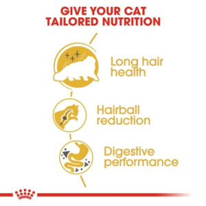 Royal Canin Adult Persian Cat Premium Dry Cat Food 400gr Freshpack