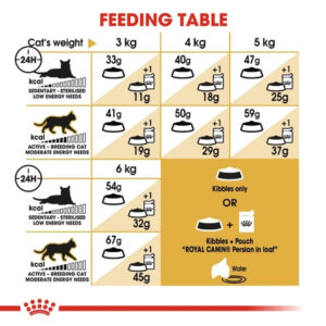 Royal Canin Adult Persian Cat Premium Dry Cat Food 400gr Freshpack
