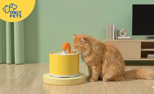 Berapa Banyak Air yang Harus Diminum Kucing Setiap Hari