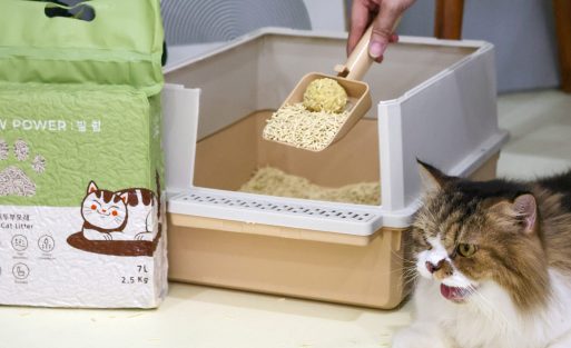 aksesoris kucing modern