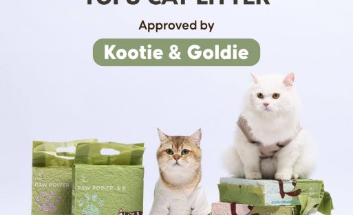 Paw Power x Kootie & Goldie Exclusive Collaboration Tofu Cat Litter Fast Clumping 7L - Pasir Kucing Gumpal Soya